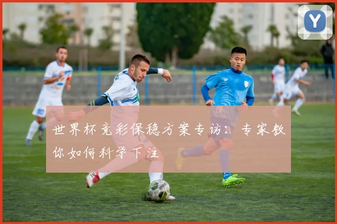 世界杯竞彩保稳方案专访：专家教你如何科学下注