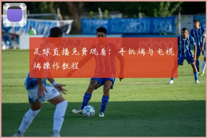 足球直播免费观看：手机端与电视端操作教程