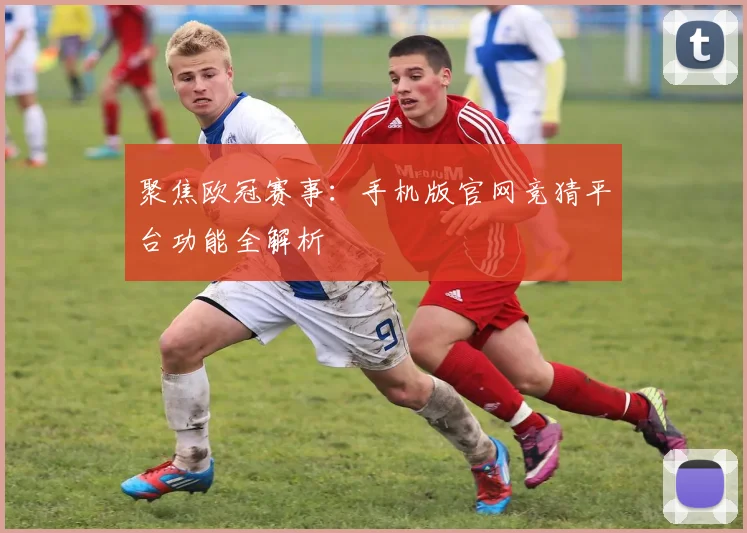 聚焦欧冠赛事：手机版官网竞猜平台功能全解析