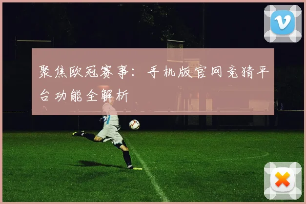 聚焦欧冠赛事：手机版官网竞猜平台功能全解析