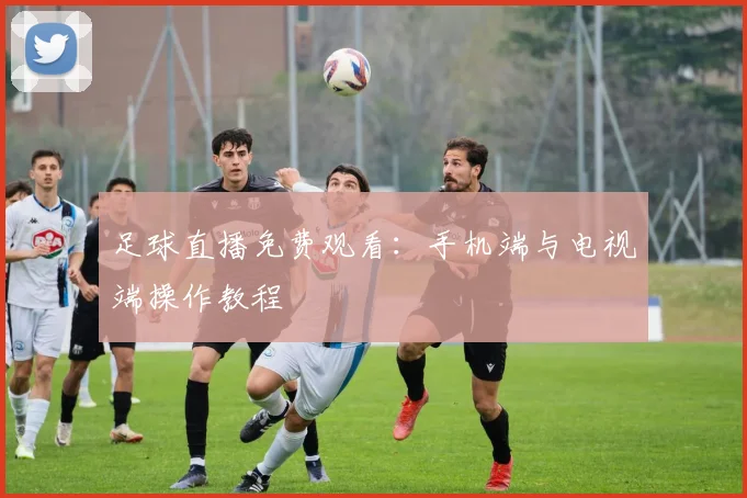 足球直播免费观看：手机端与电视端操作教程