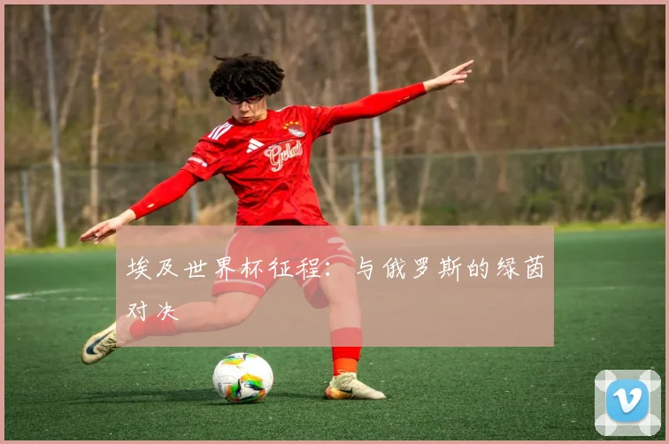 埃及世界杯征程:与俄罗斯的绿茵对决