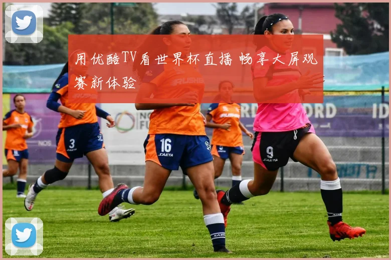 用优酷TV看世界杯直播 畅享大屏观赛新体验
