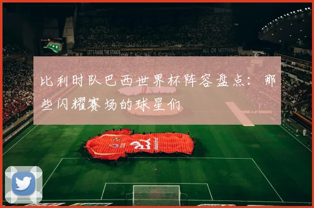 比利时队巴西世界杯阵容盘点：那些闪耀赛场的球星们