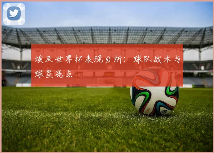 埃及世界杯表现分析:球队战术与球星亮点